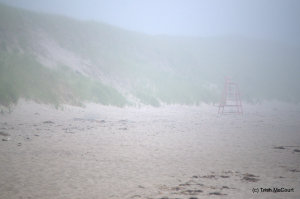 Mavilette Beach in fog